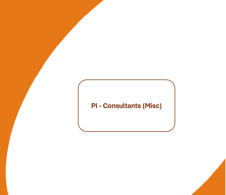 PI Consultants (Misc)
